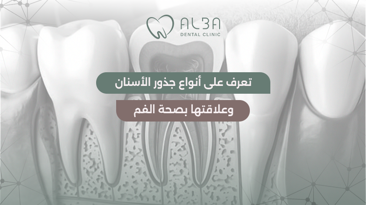 تعرف على أنواع جذور الأسنان وعلاقتها بصحة الفم